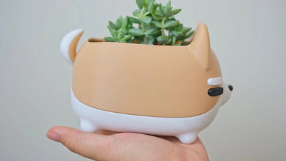 Shiba Inu Planter / Holder