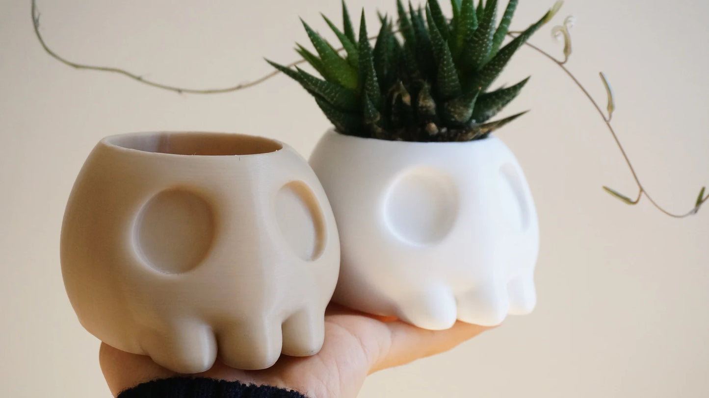 Skull Planter & Pen Holder