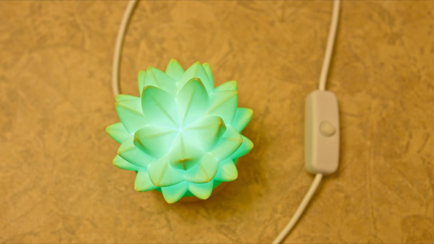 Succulent USB RC Light