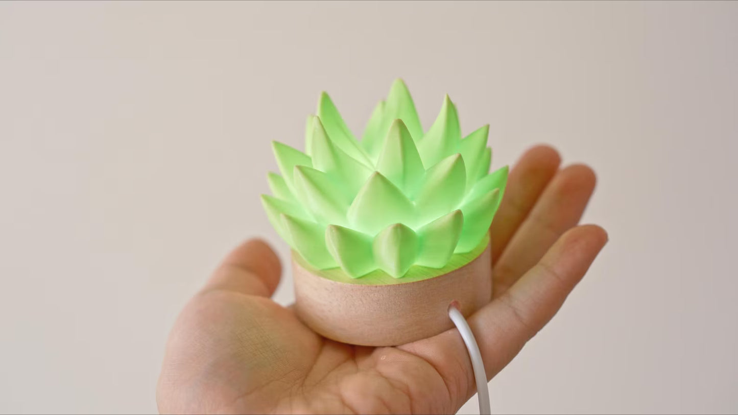 Succulent USB RC Light