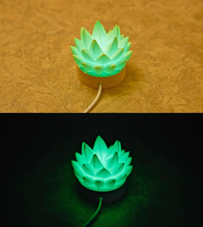 Succulent USB RC Light
