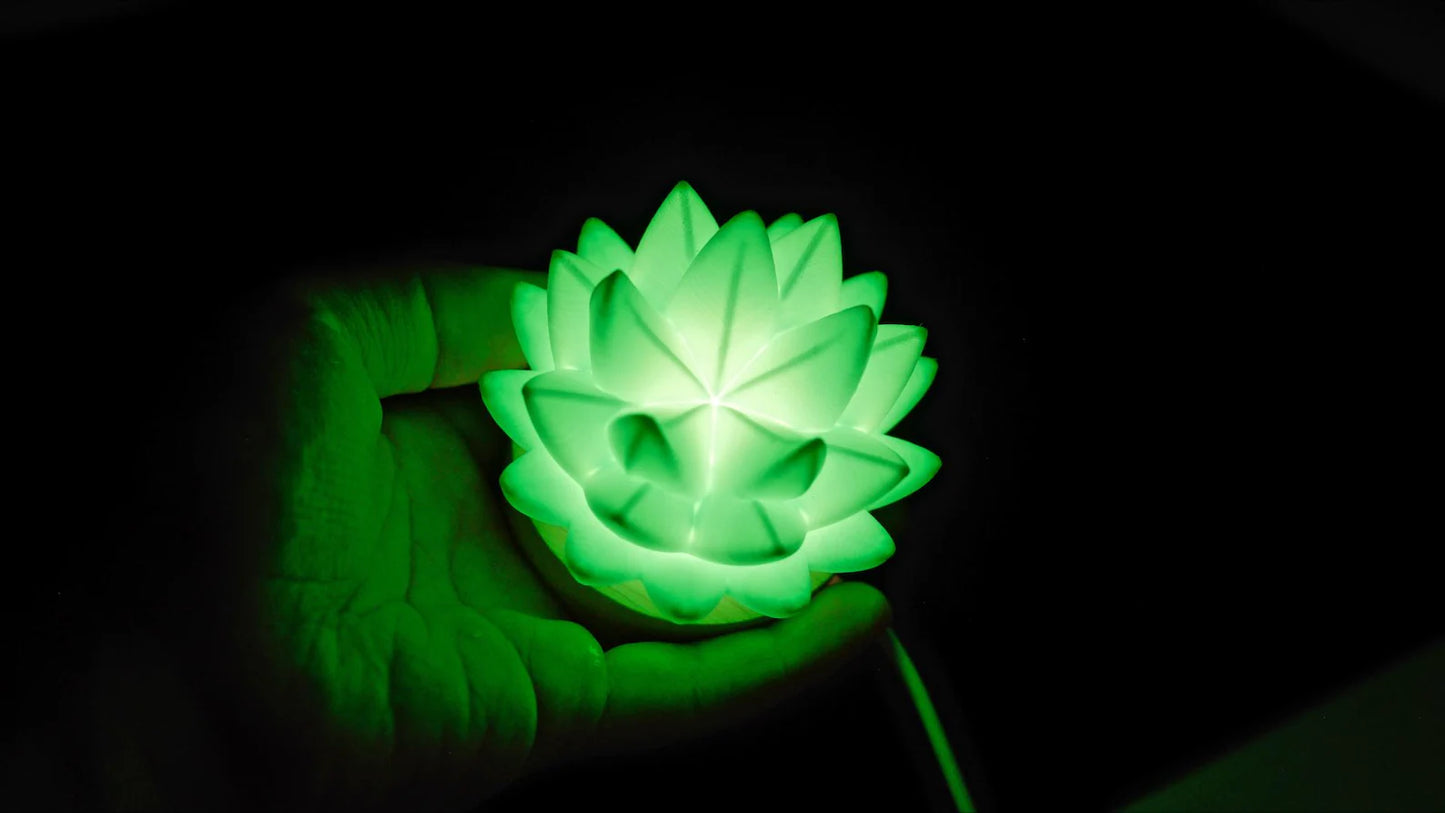 Succulent USB RC Light