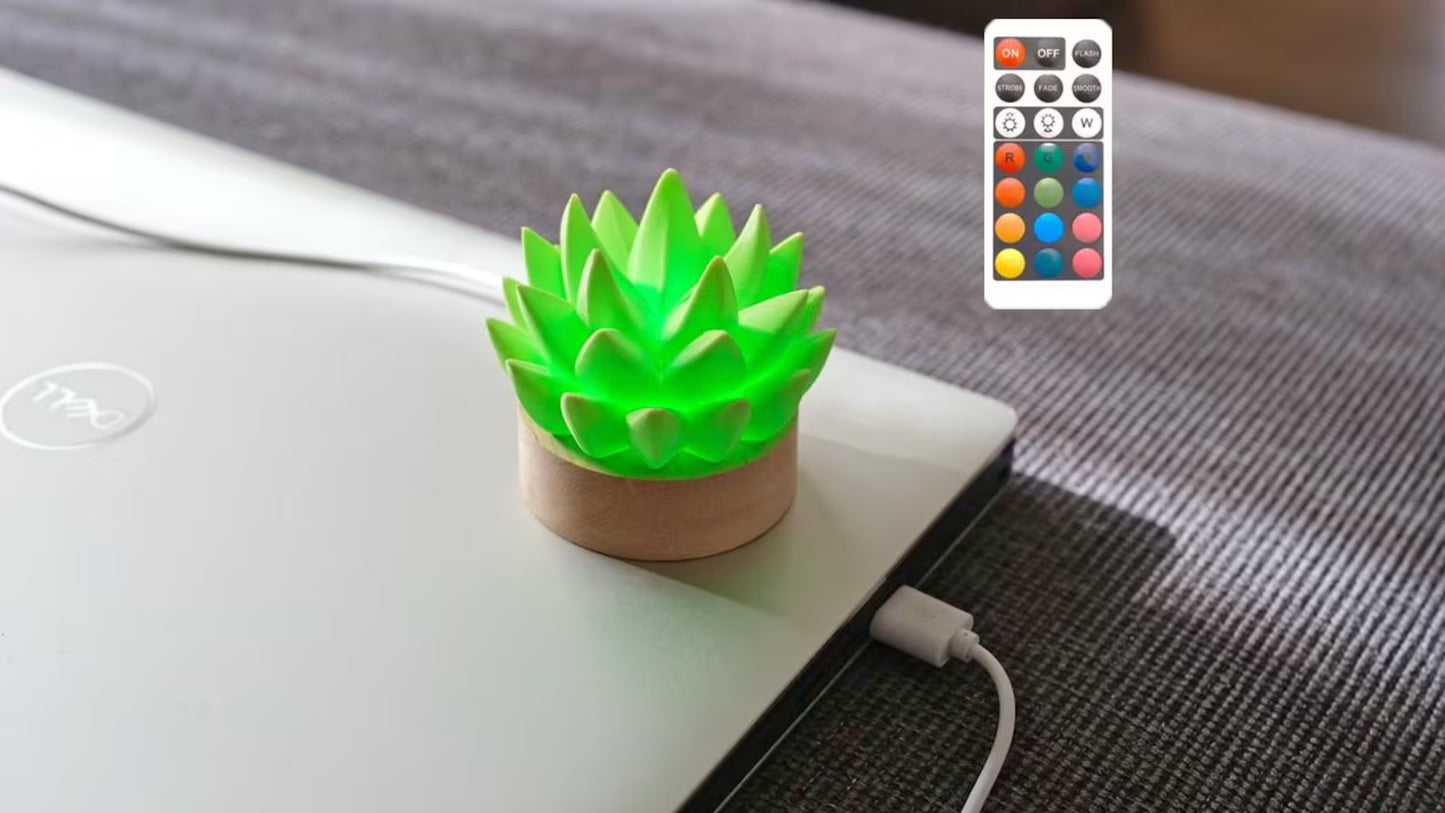 Succulent USB RC Light