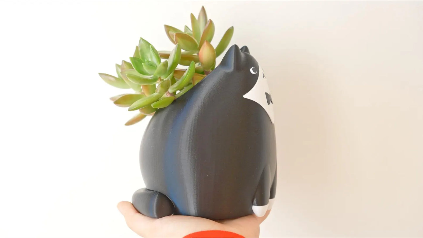 Tuxedo Cat Planter & Pencil Holder