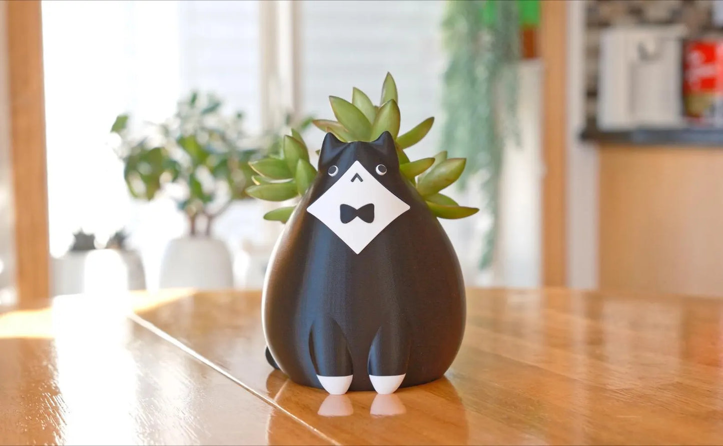 Tuxedo Cat Planter & Pencil Holder