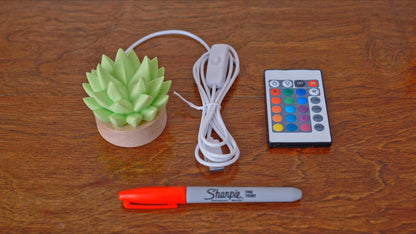 Succulent USB RC Light