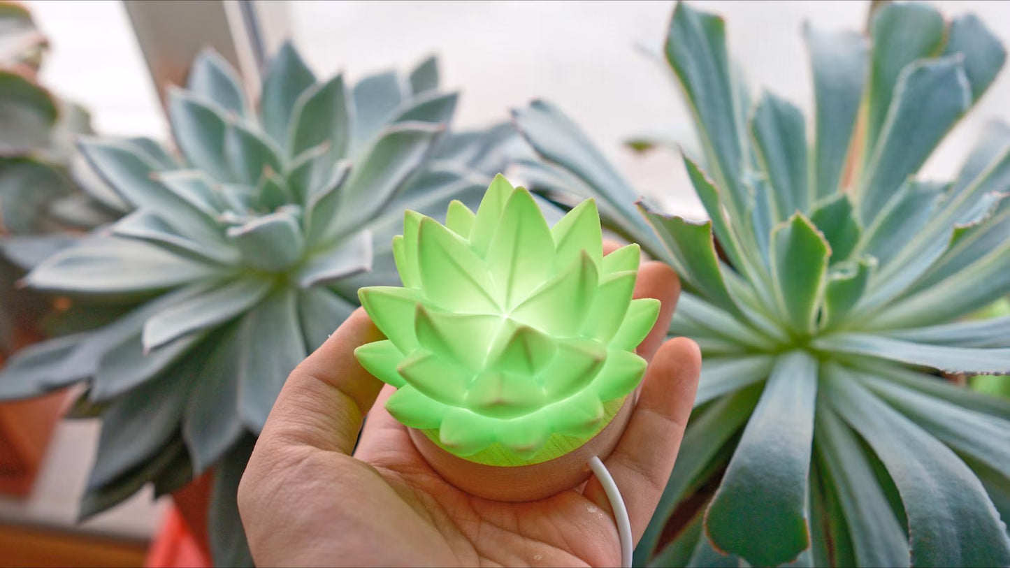 Succulent USB RC Light