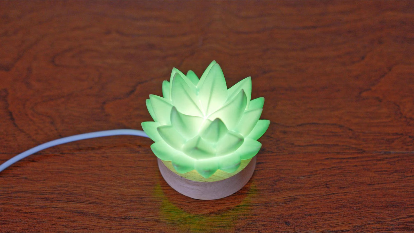 Succulent USB RC Light