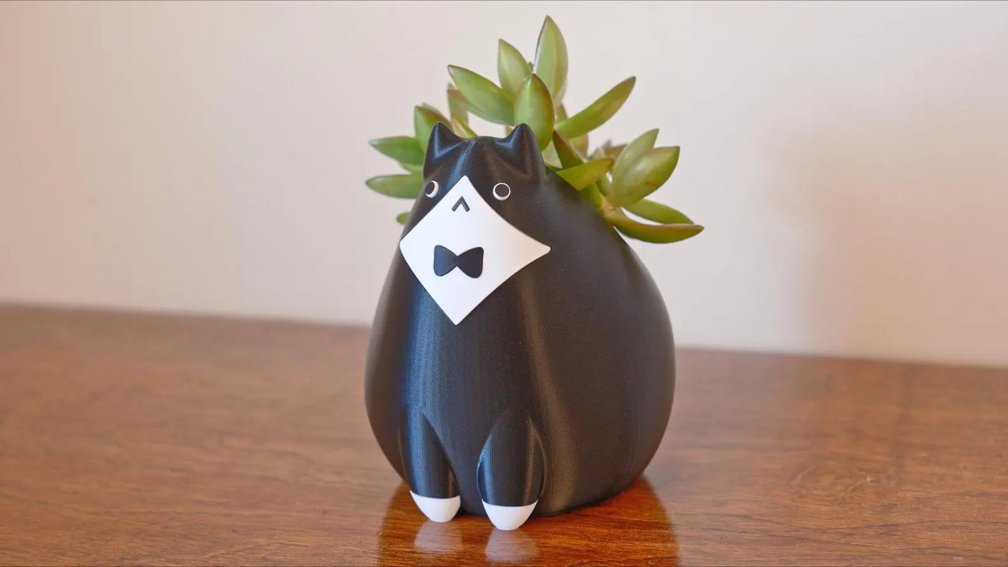Tuxedo Cat Planter & Pencil Holder