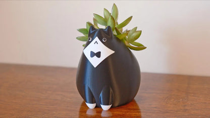 Tuxedo Cat Planter & Pencil Holder