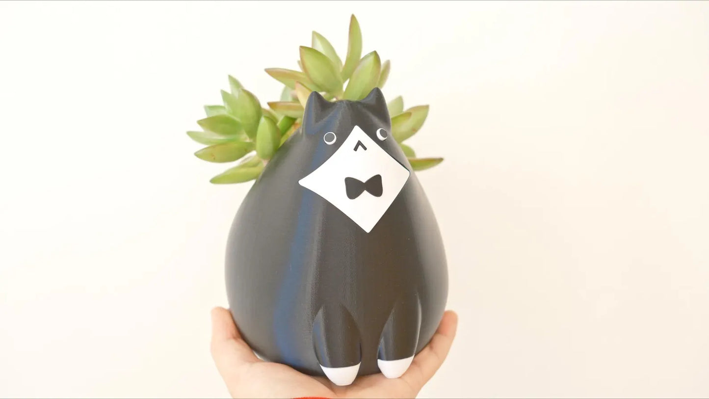 Tuxedo Cat Planter & Pencil Holder