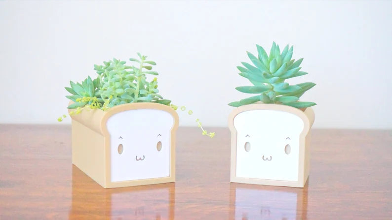 Bread Planter & Stationery Organizer