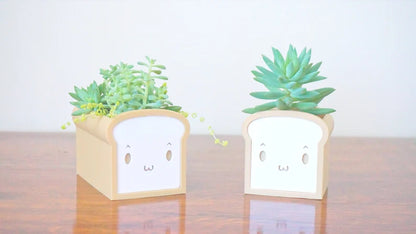 Bread Planter & Stationery Organizer