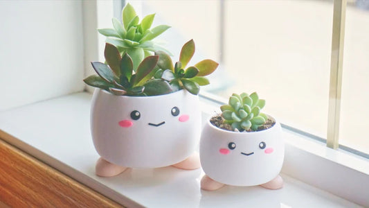 Cute Smiling Planter with Feet