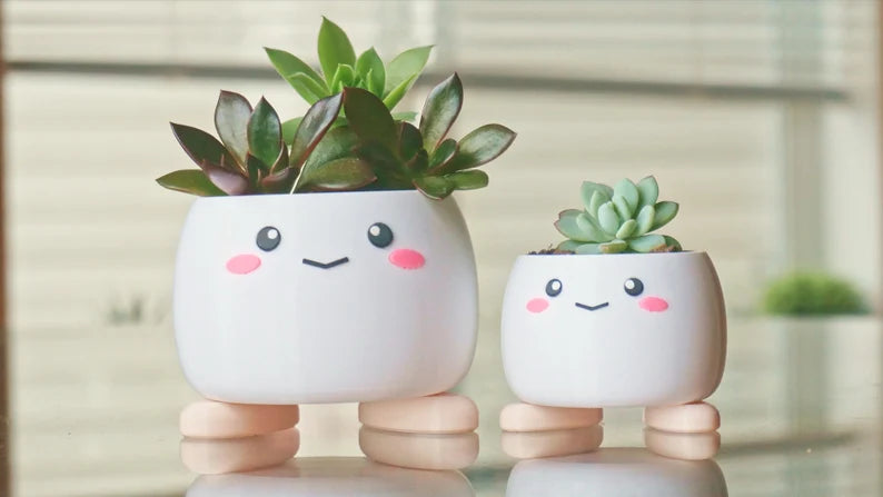 Cute Smiling Planter with Feet