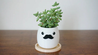 Mustache Planter & Pen Holder