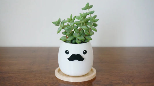 Mustache Planter & Pen Holder