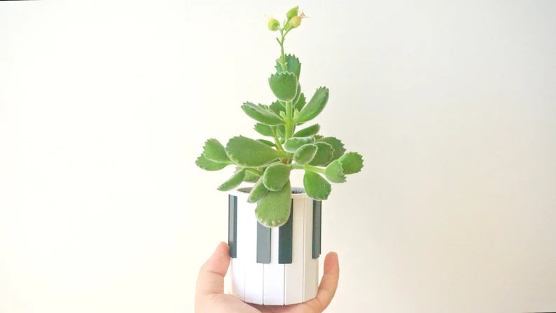 Piano Keys Planter & Pen Holder