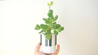 Piano Keys Planter & Pen Holder