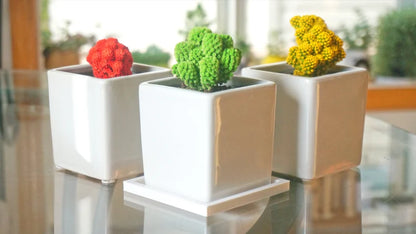 Square Show Style Drainage Tray
