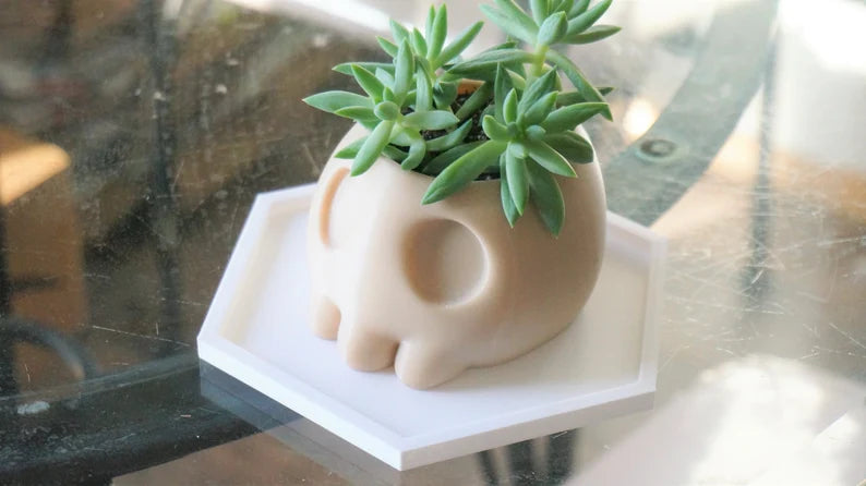 Hexagon Show Style Drainage Tray
