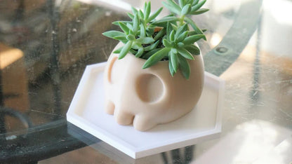 Hexagon Show Style Drainage Tray