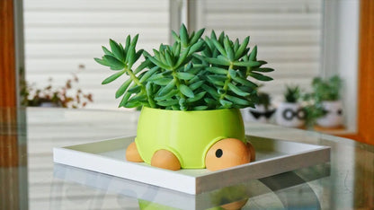 1/2 Inch Tall Square Drainage Tray