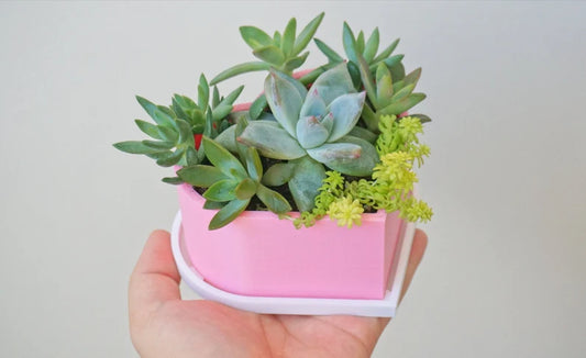 Heart Shaped Planter