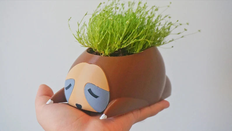 Sleepy Sloth Planter & Holder