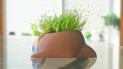 Sleepy Sloth Planter & Holder