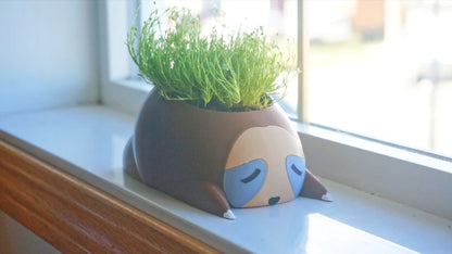 Sleepy Sloth Planter & Holder