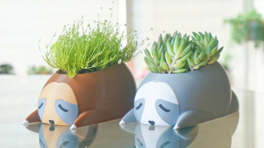 Sleepy Sloth Planter & Holder