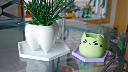 1/2 Inch Tall Hexagon Drainage Tray
