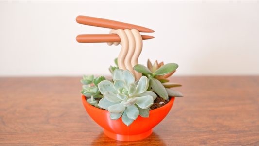 Ramen Planter