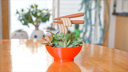 Ramen Planter