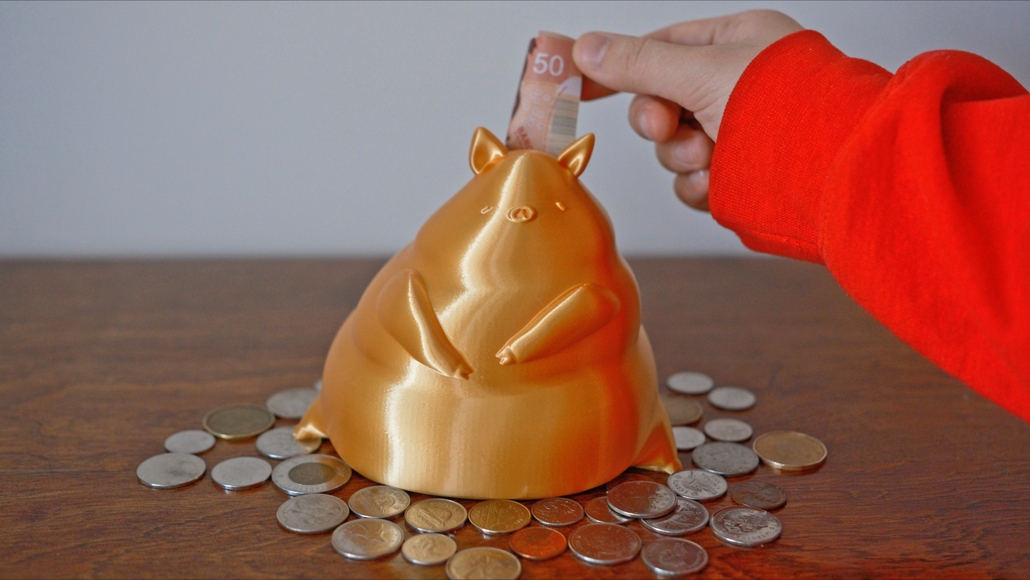 Chubby Piggy Bank