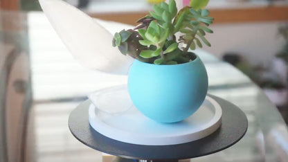 Round Show Style Drainage Tray