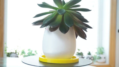 Small Smiley Pencil Holder