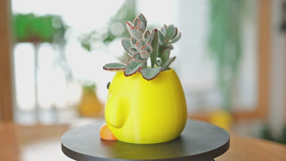 Knife Duck Meme Planter & Pencil Holder