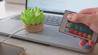 Succulent USB RC Light
