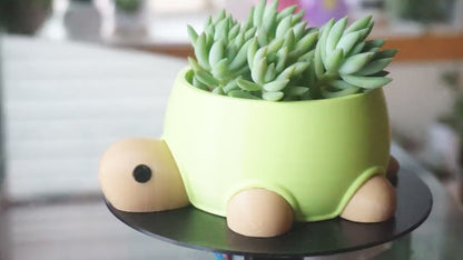 Turtle Planter / Stationery Organizer