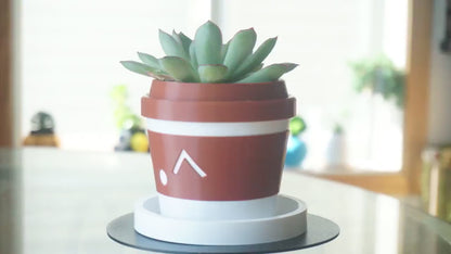 1/2 inch Tall Round Drainage Tray
