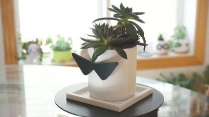 Square Show Style Drainage Tray