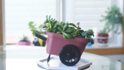 Wheelbarrow Planter