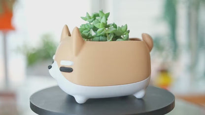 Shiba Inu Planter / Holder