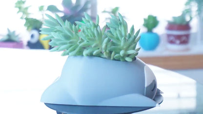 Sleepy Sloth Planter & Holder