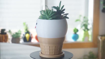 Ice cream Pen Holder & Planter