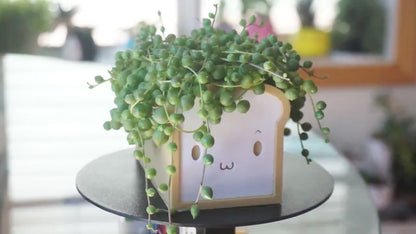 Bread Planter & Stationery Organizer