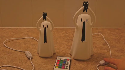 Ghost Holding a Kitty USB Lamp