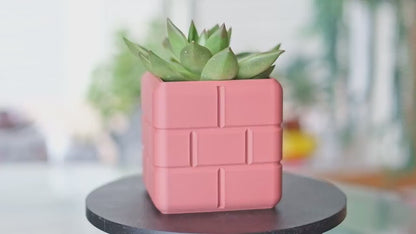 Brick Block Planter & Pen Holder